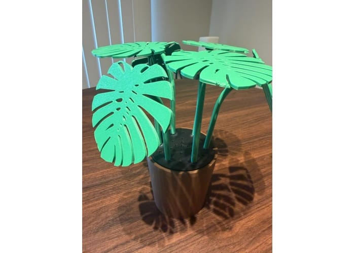 monstera-plant-home-decor